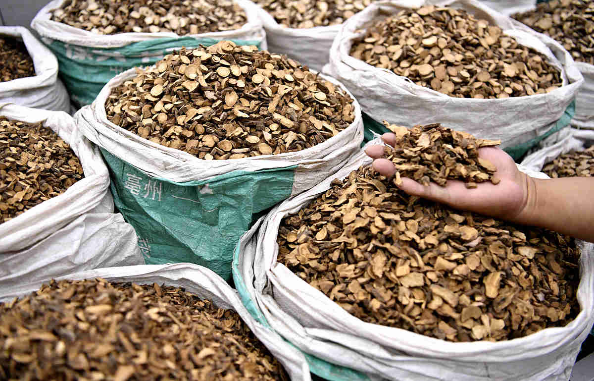 True hemp raw or retted的翻译