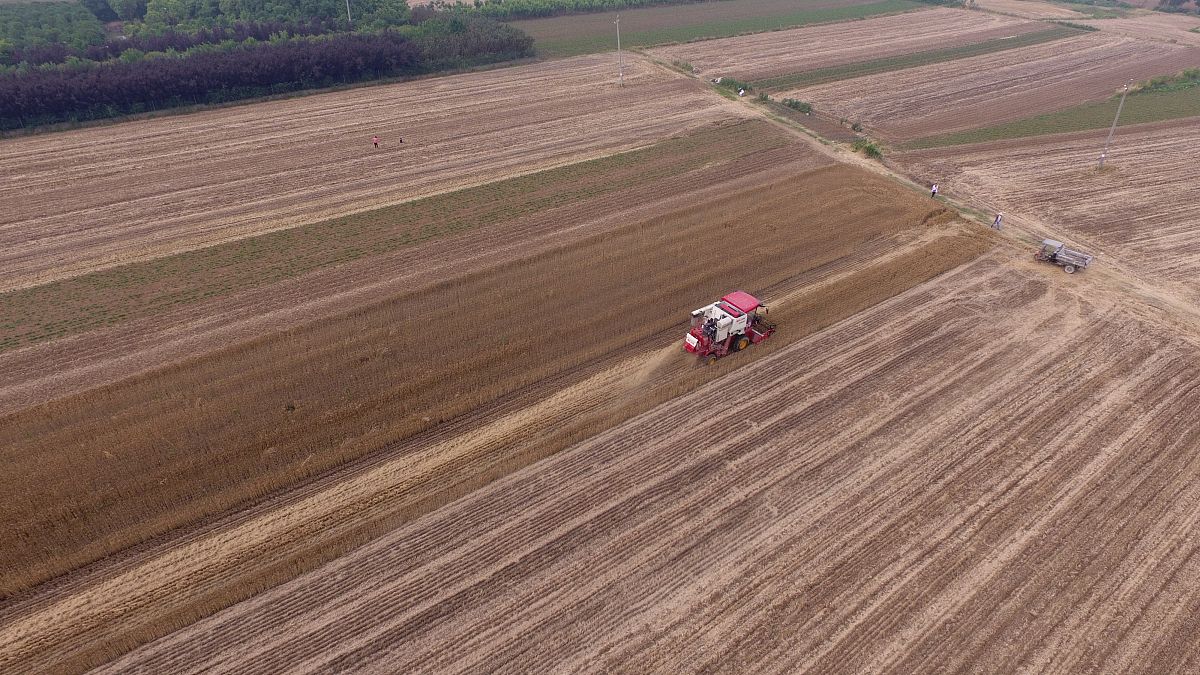 河南省南阳文化艺术学校招生信息