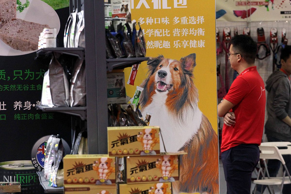 宠物电商平台跨界合作研究：多元化服务满足多元化需求