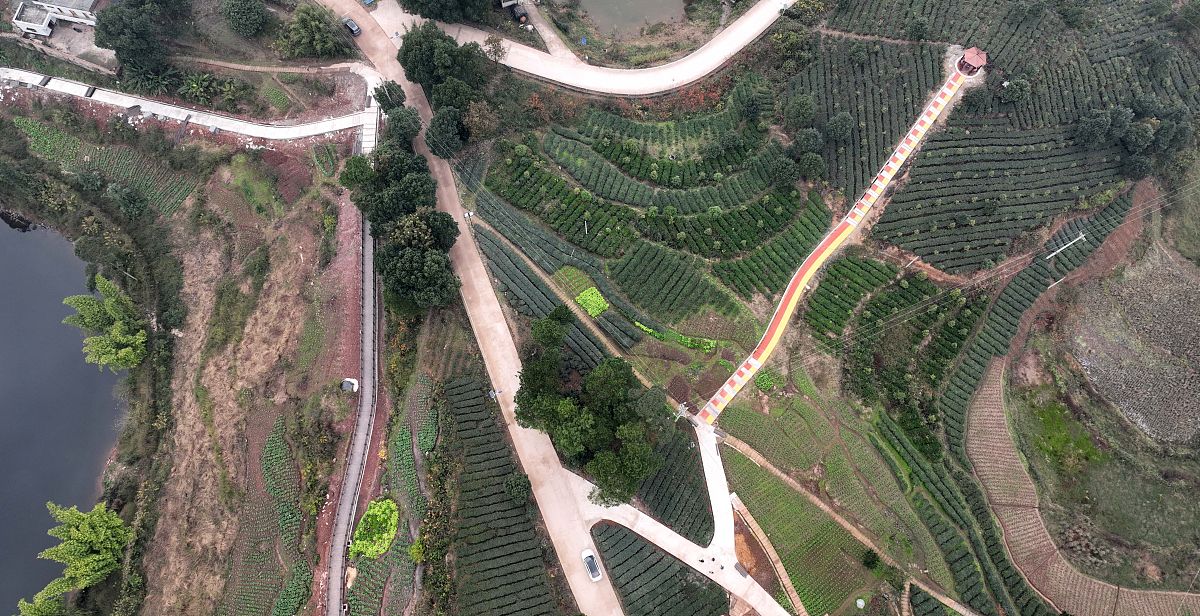 重庆第二财贸学校地址在哪？交通路线及周边环境介绍