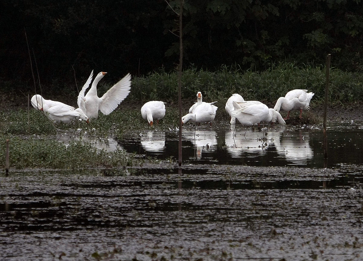 三门峡职业技术学院水净化与安全技术专业：好学吗？就业前景如何？