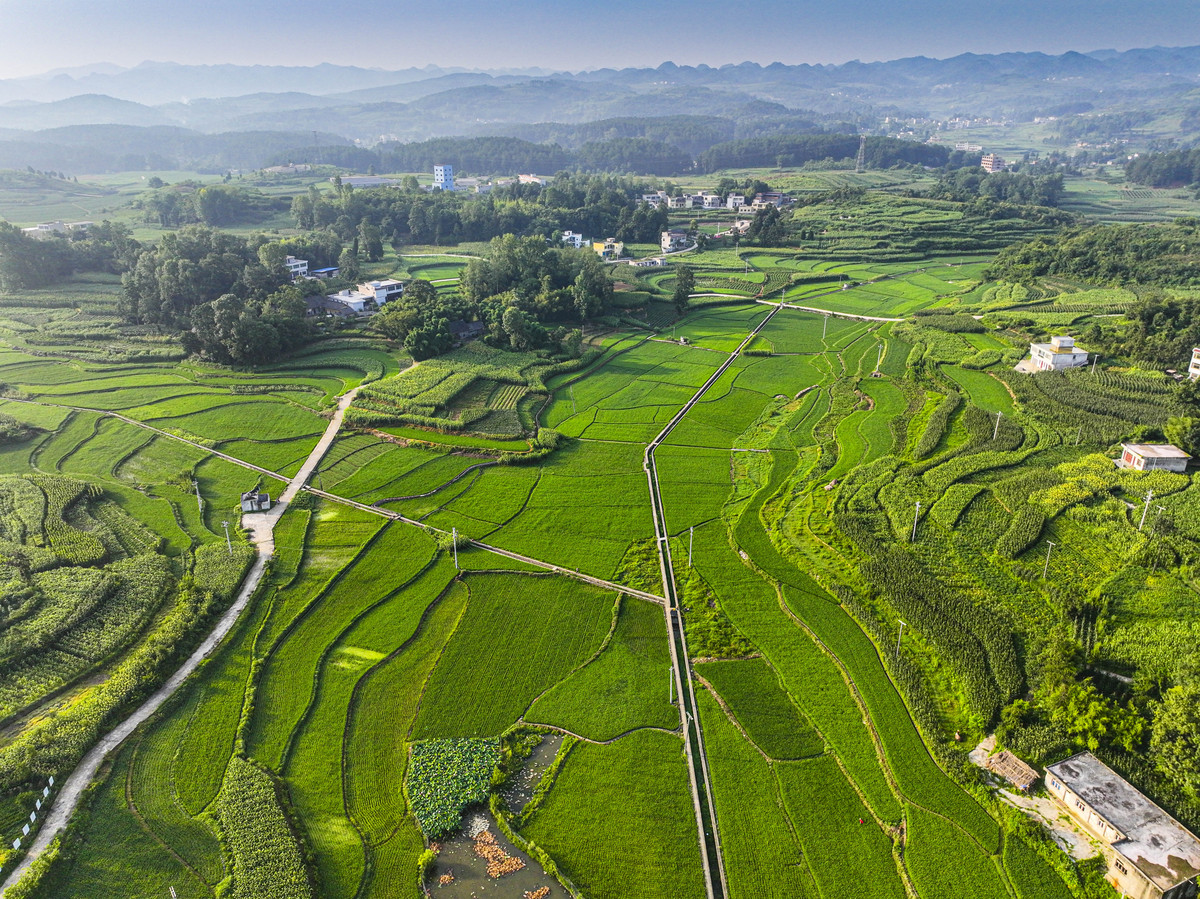 S镇位于醴陵市最西部全镇总面积107平方公里2020年耕地面积21011公顷其中：水田面积2020公顷旱土面积811公顷山林面积55713公顷森林覆盖率达98有小一型水库2座小二型水库14座辖9个行政村和居委会406万人2020年。集镇内拥有占地3300平方米、规模居全市乡镇第一的农副产品批发交易市场。改写