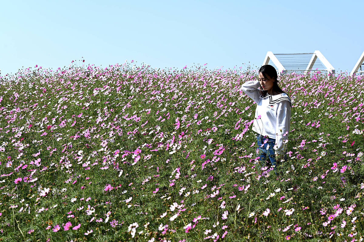 南宁市武鸣区中通快递公司运营情况调研报告