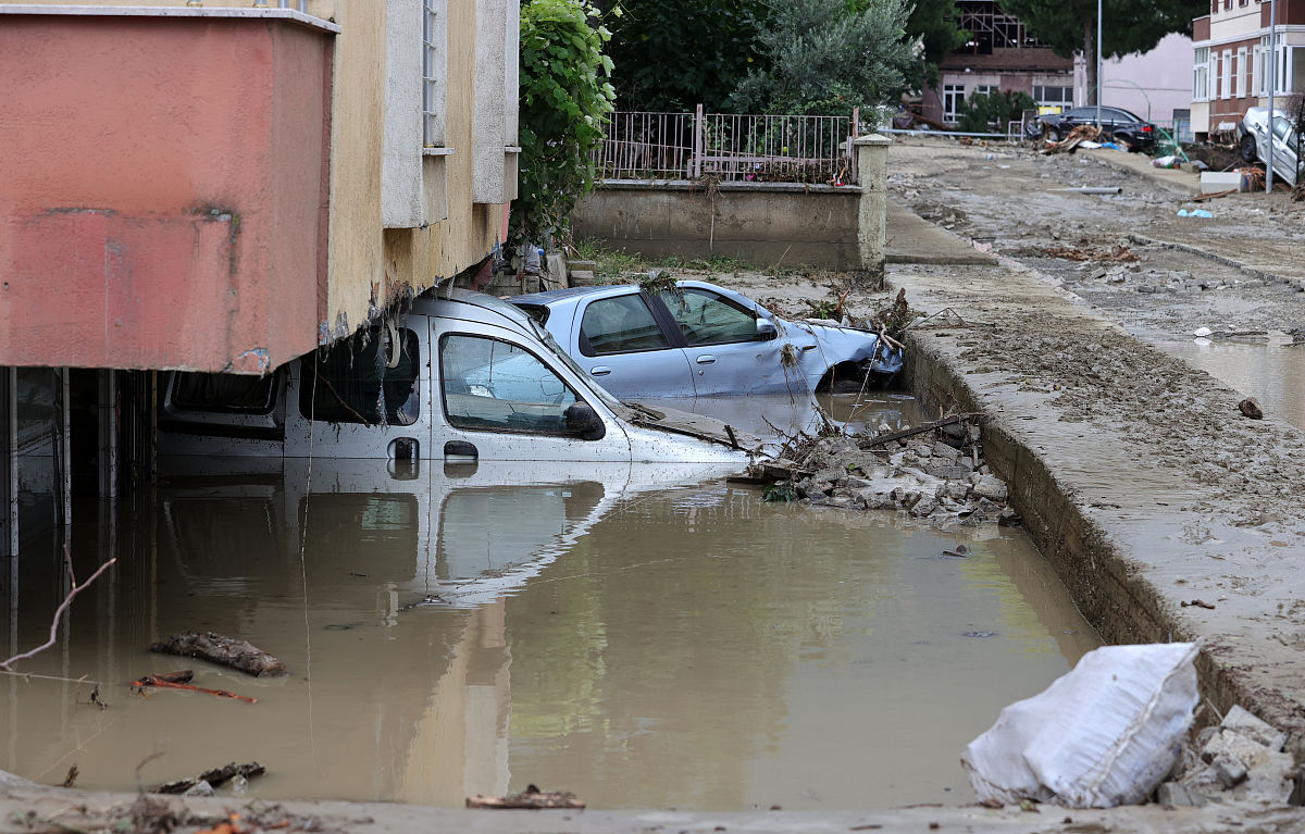 学习应急管理概论课程的心得体会不少于1