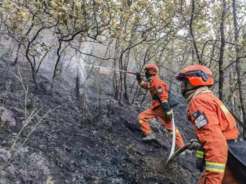 四川雅江突发森林火灾,三路救援力量共千余人正在扑救