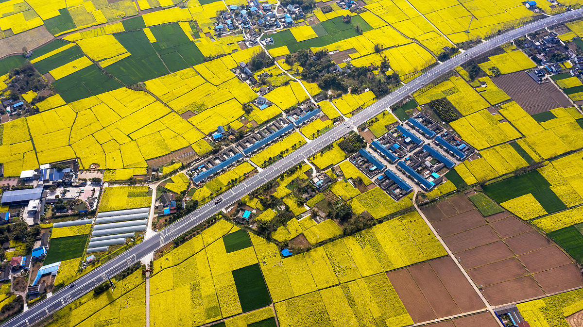 四川省绵阳农业学校机电技术应用专业就业方向