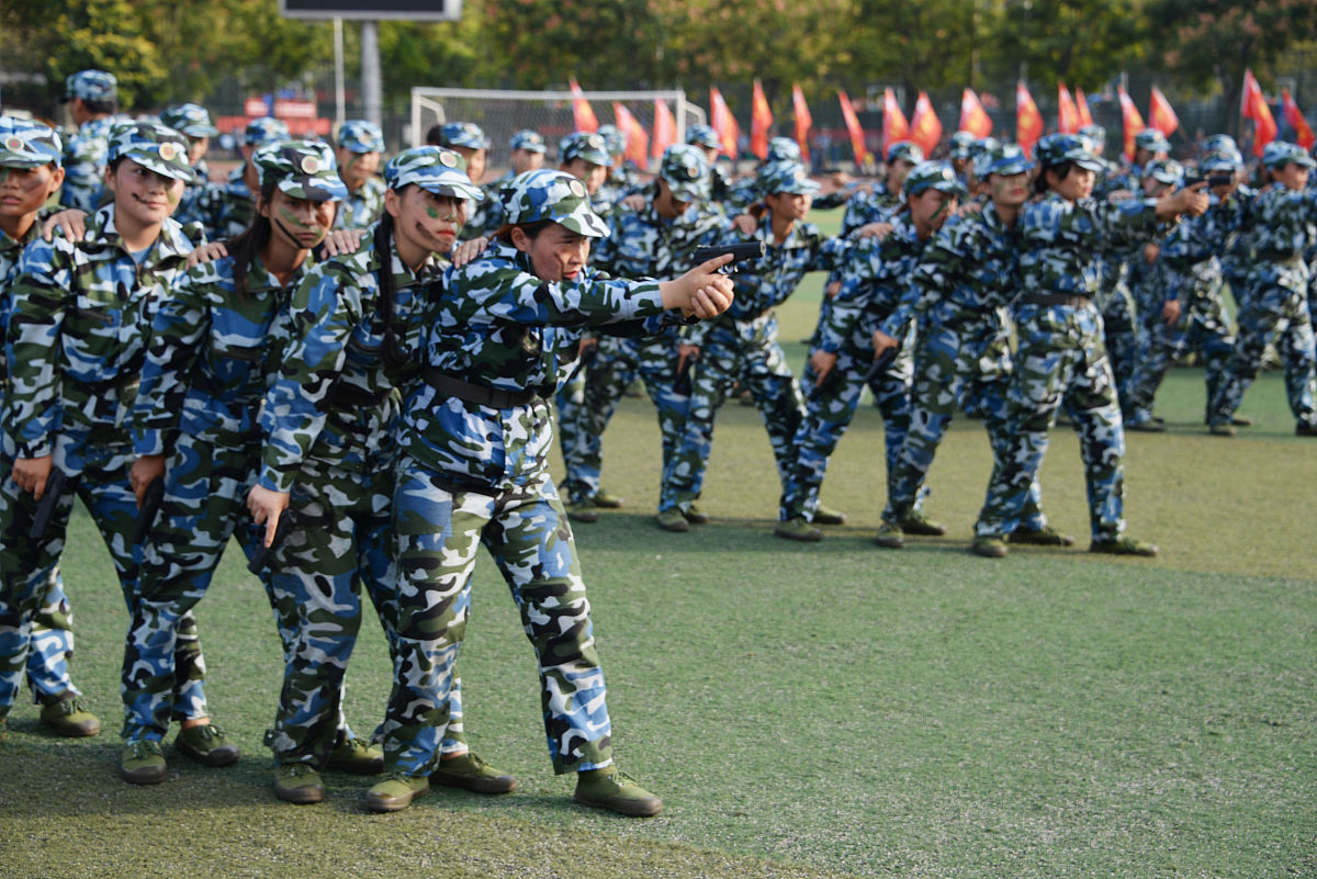 关于军训国家安全的作文600字