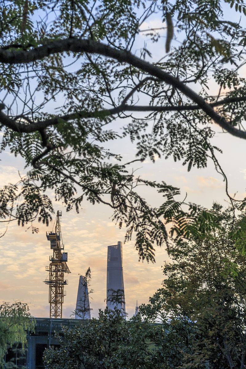 秋日颂歌：一首关于梦想、爱与希望的诗