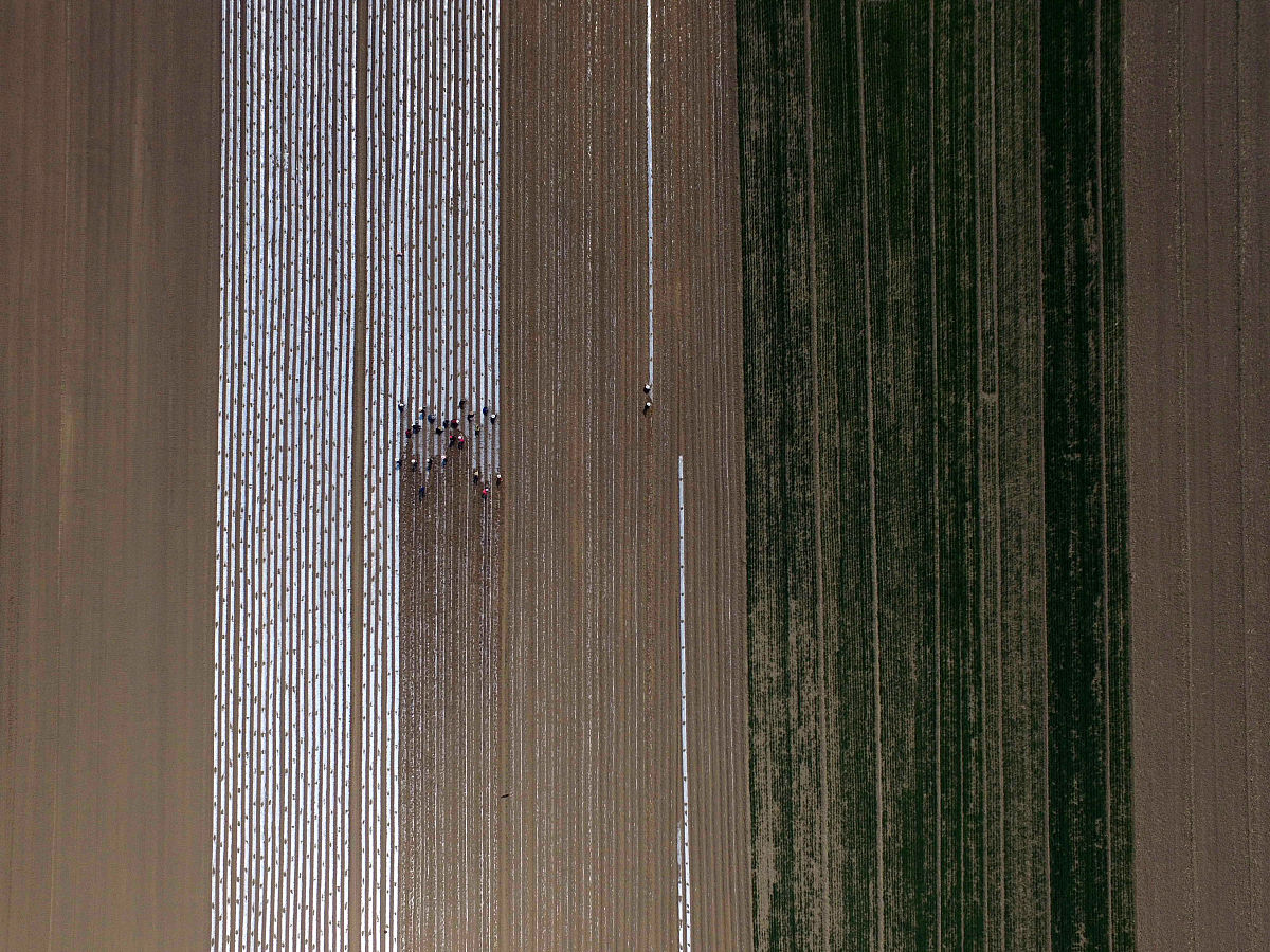 山西药科职业学院医药营销专业怎么样