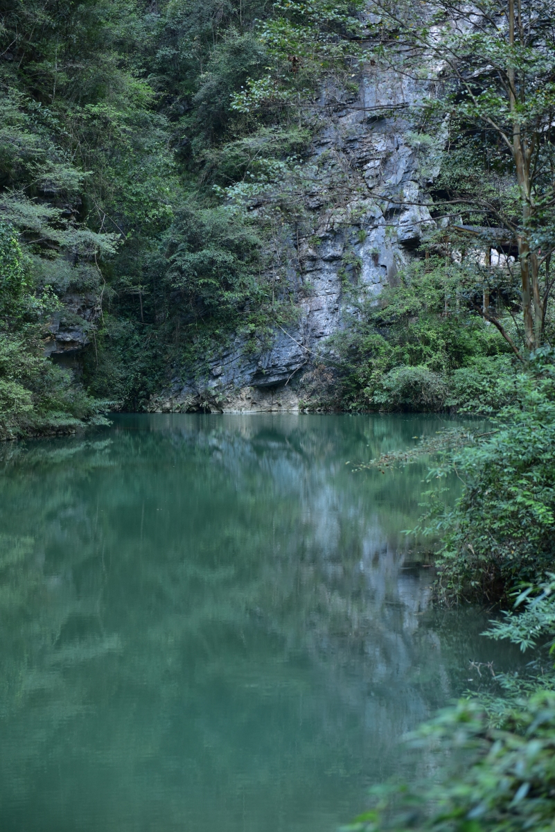 湖南张家界:武陵源风光,奇峰异石,峡谷深壑,宛如大自然的鬼斧神工雕琢