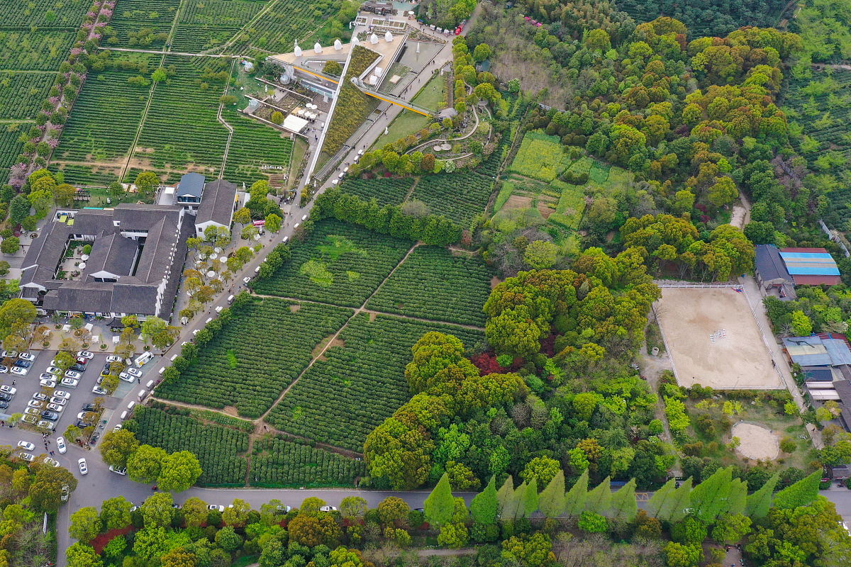 2020苏州小学入学政策解读：择校、入学条件、流程及特长生招生