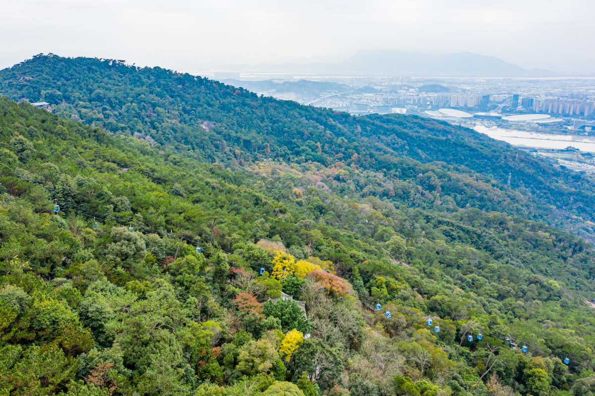 福州鼓山:攀登海上名山 暑假到了,不妨带上孩子们来一趟福州鼓山,体验