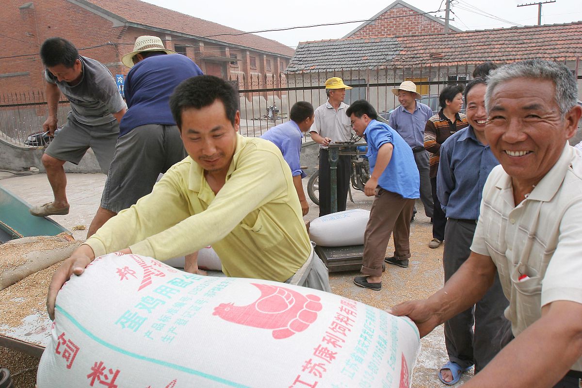 农民代表典型材料总结：角色、贡献与成就