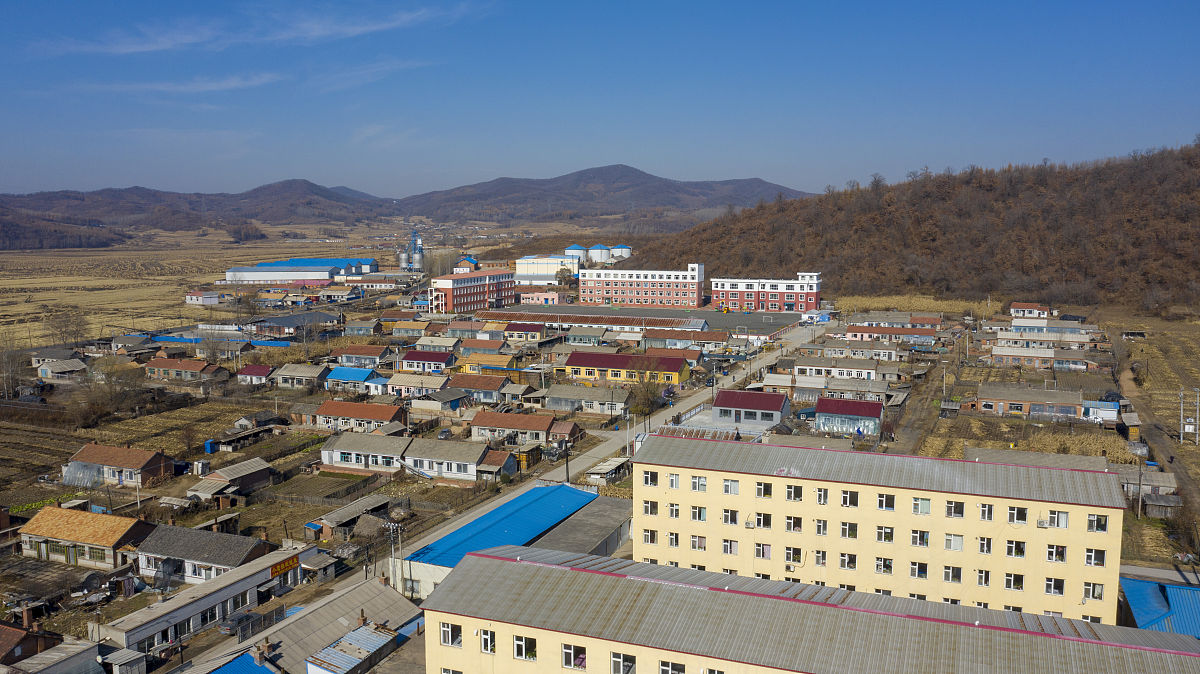 吉林市永吉县莲花村村委会帮我用200字详细描述