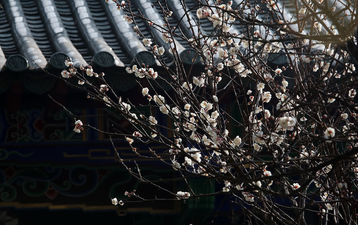 昆明2022年读卫校要多少钱