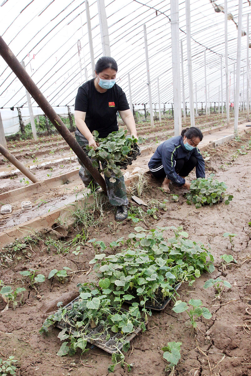 邢台农业学校2023年招生专业：农业机械化、电子商务等