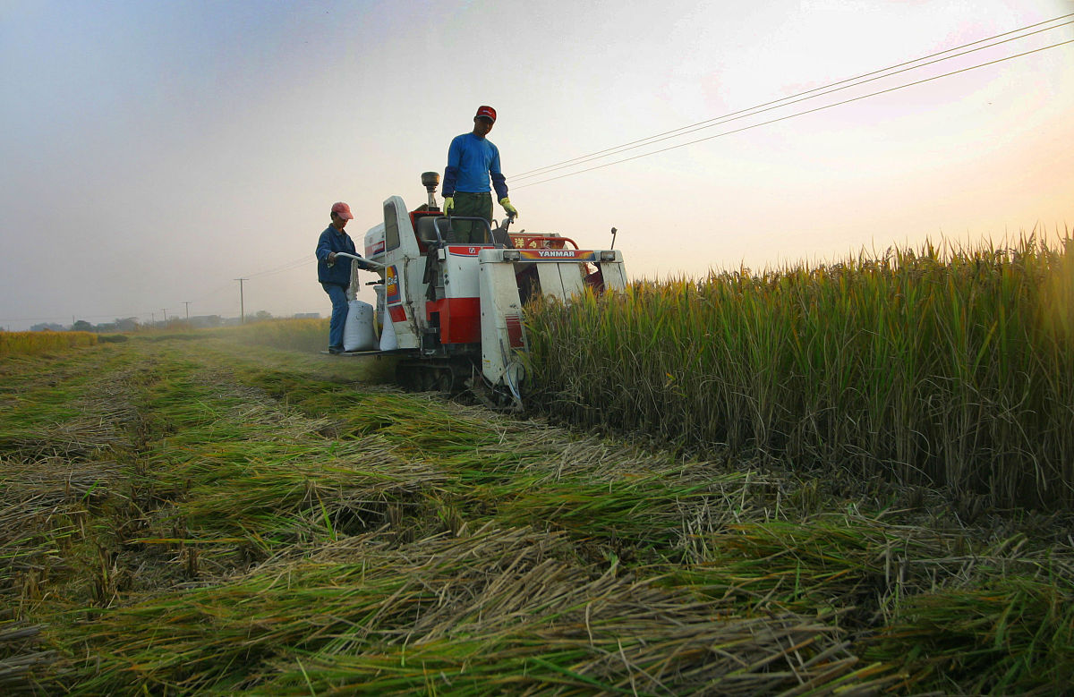 泸西县农业机械化技术学校：培养高素质农业机械化人才的摇篮