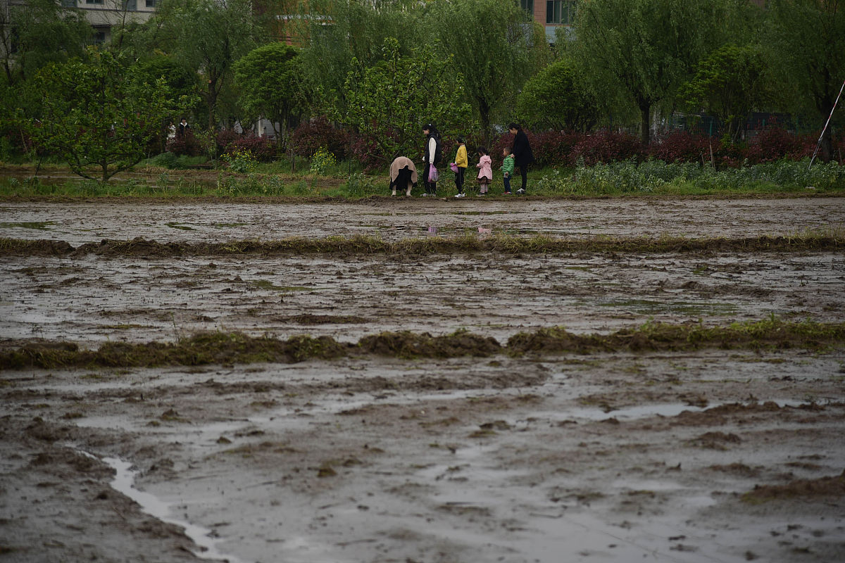 马上清明节到了给我围绕清明节的由来设计一个视频文案