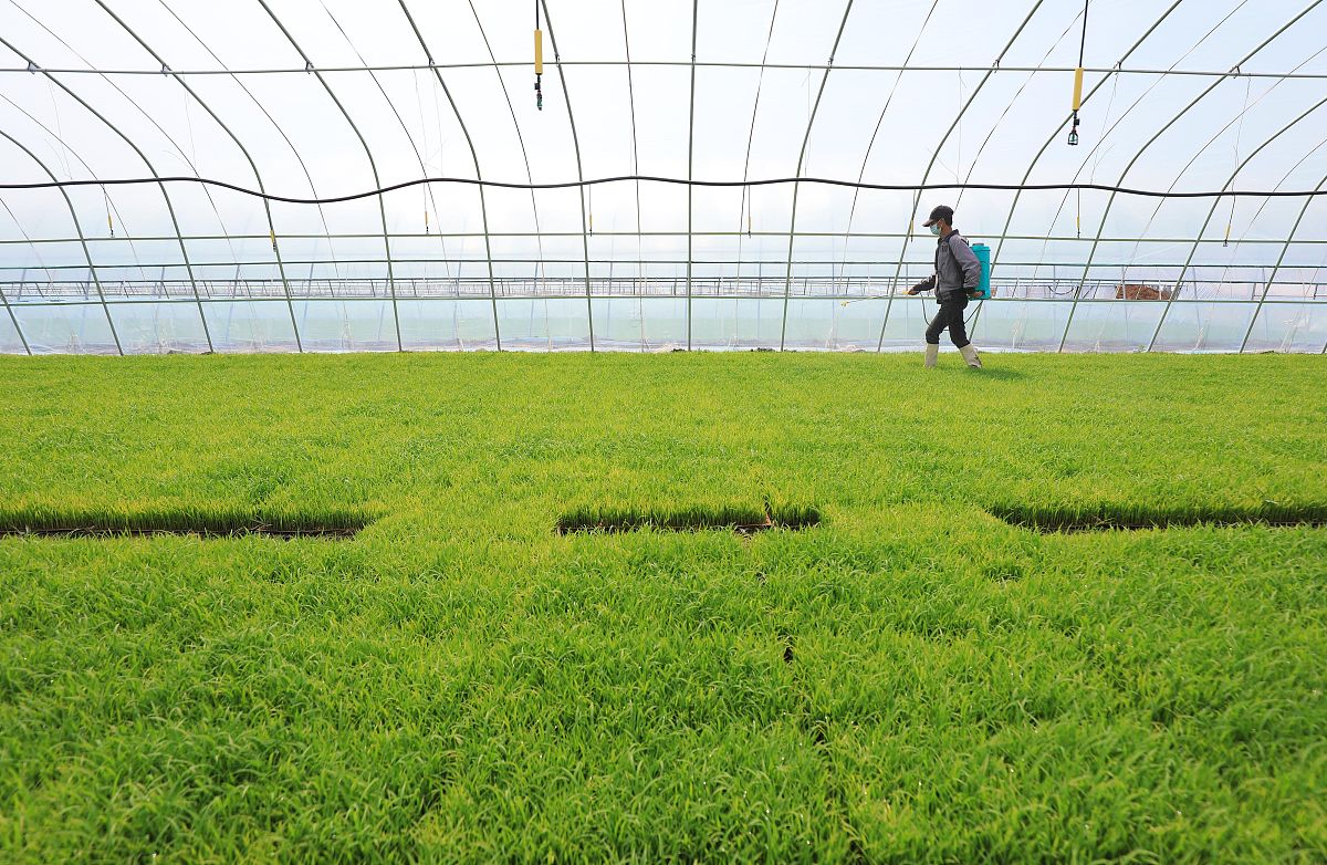 广谱性杀菌剂的发展前景