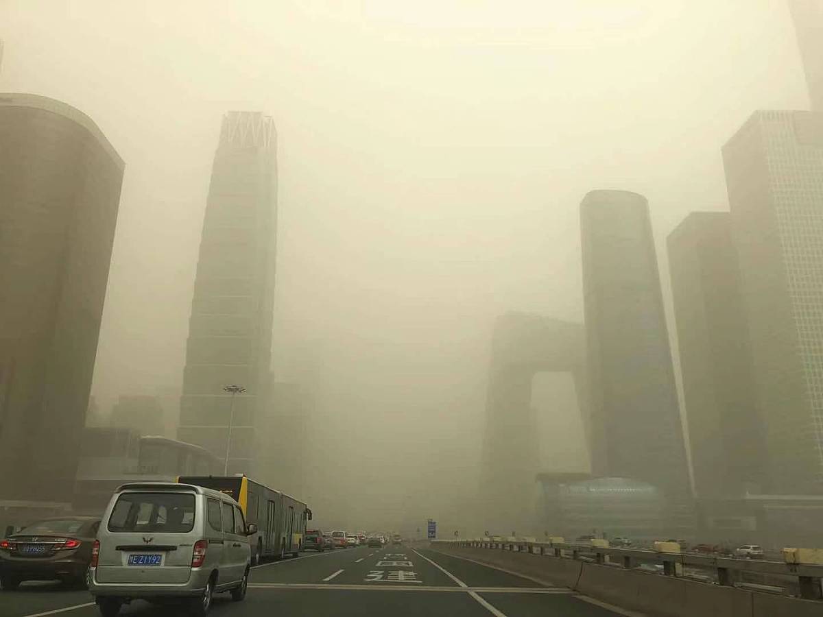 写一篇天气预报报道