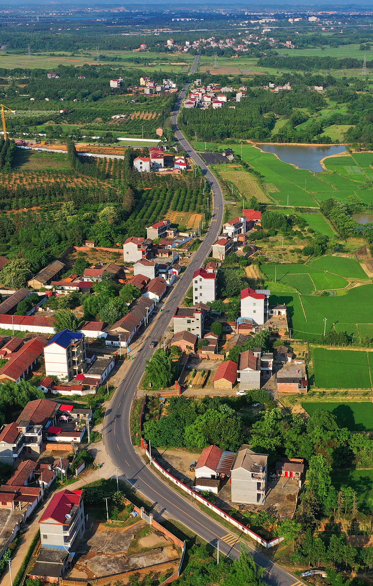 中国乡土社会的昨天、今天与明天：历史变迁与未来展望