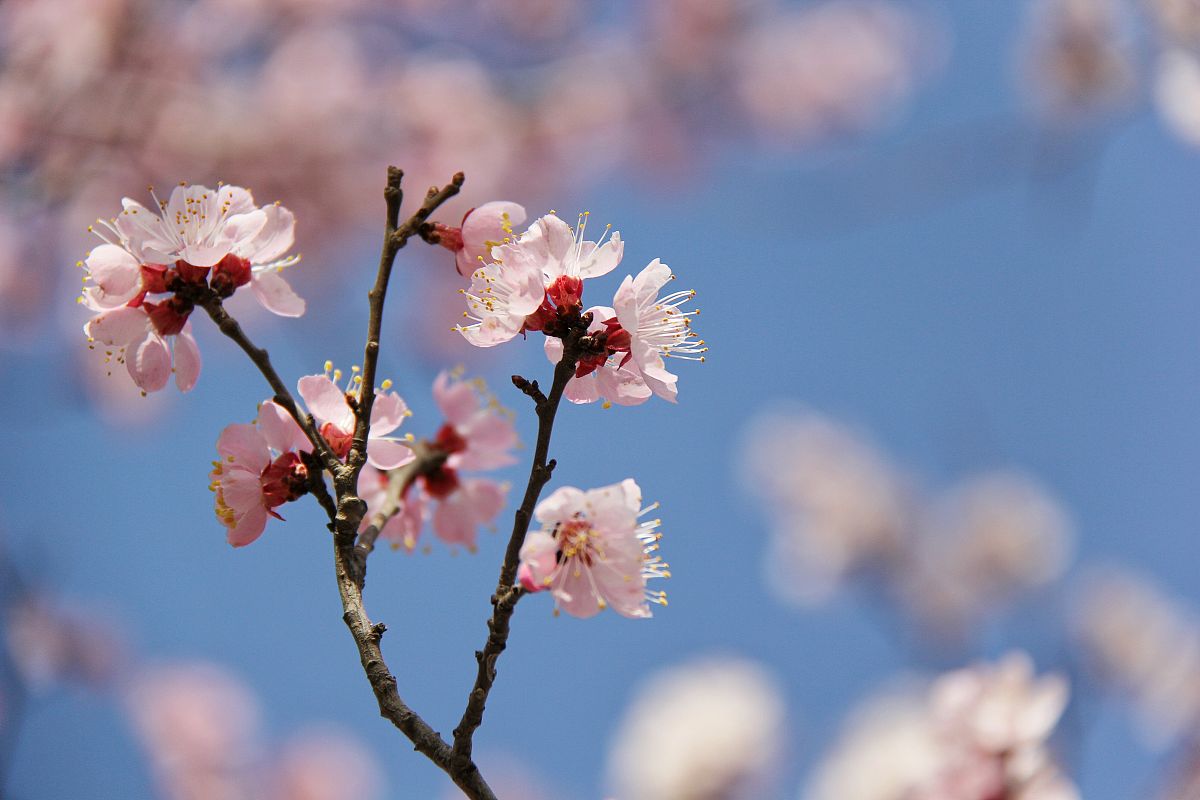 定西体育运动学校2021年招生条件：你想成为优秀运动员吗？