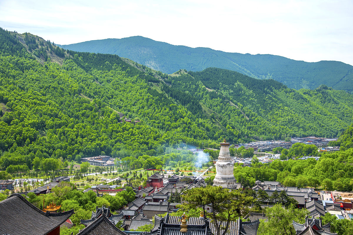 2022年山西体育职业学院忻州分院招生专业：体育、健康、教育领域的多样选择