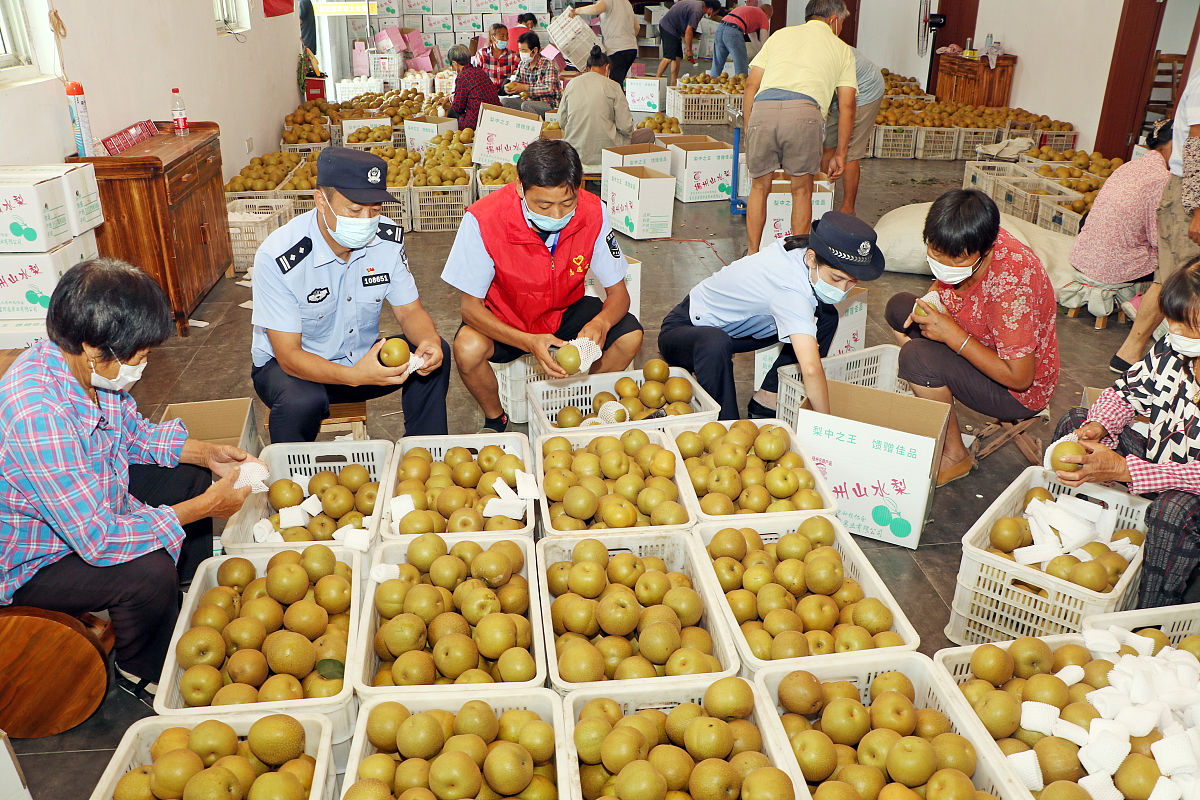 帮我降重下面这段文字查重率要低于10逻辑通顺：在《广丰马家柚营销策略研究》中运用市场营销的知识为营销中遇到很多困境研究出相对应的对策方案以实现提升市场竞争力进一步开拓产品市场。