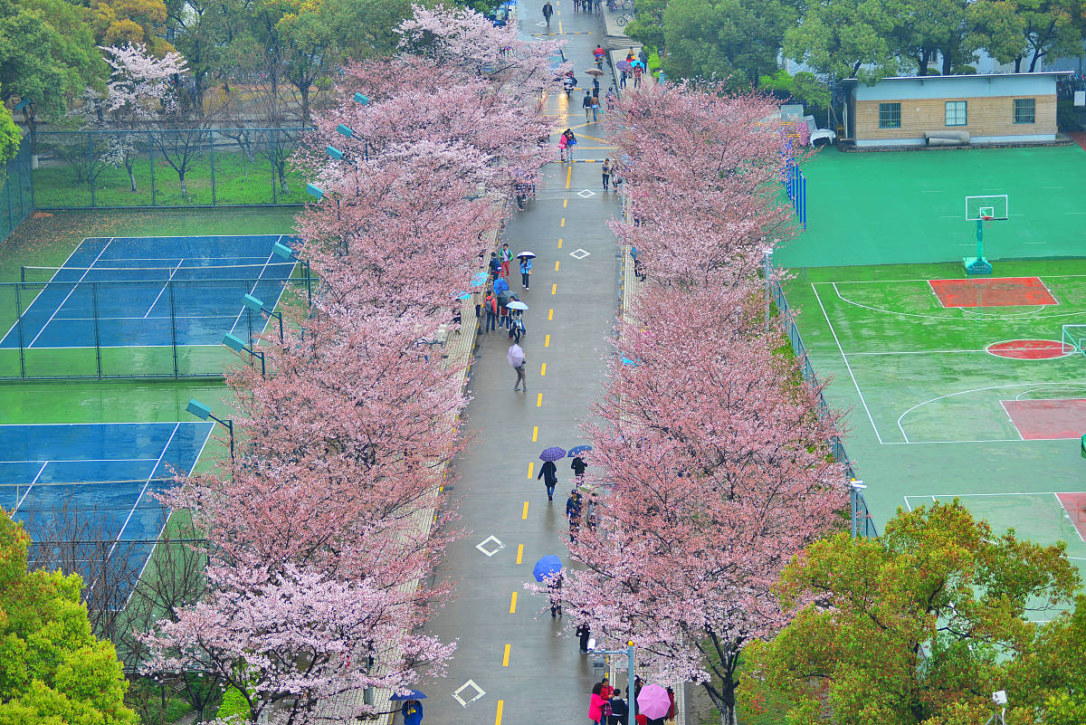 如何确定学校最繁忙校门：设施规划与物流分析指南