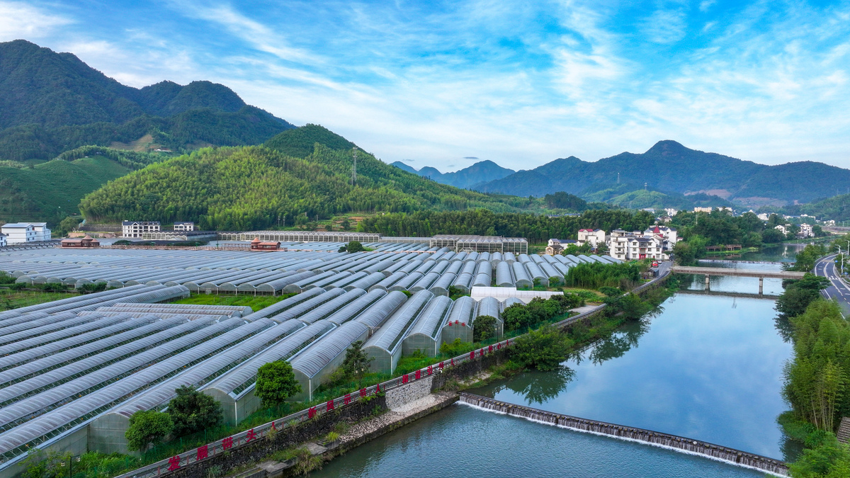 南宁市坛良村特色产业发展给其他乡村发展在政府和企业合作的借鉴意义