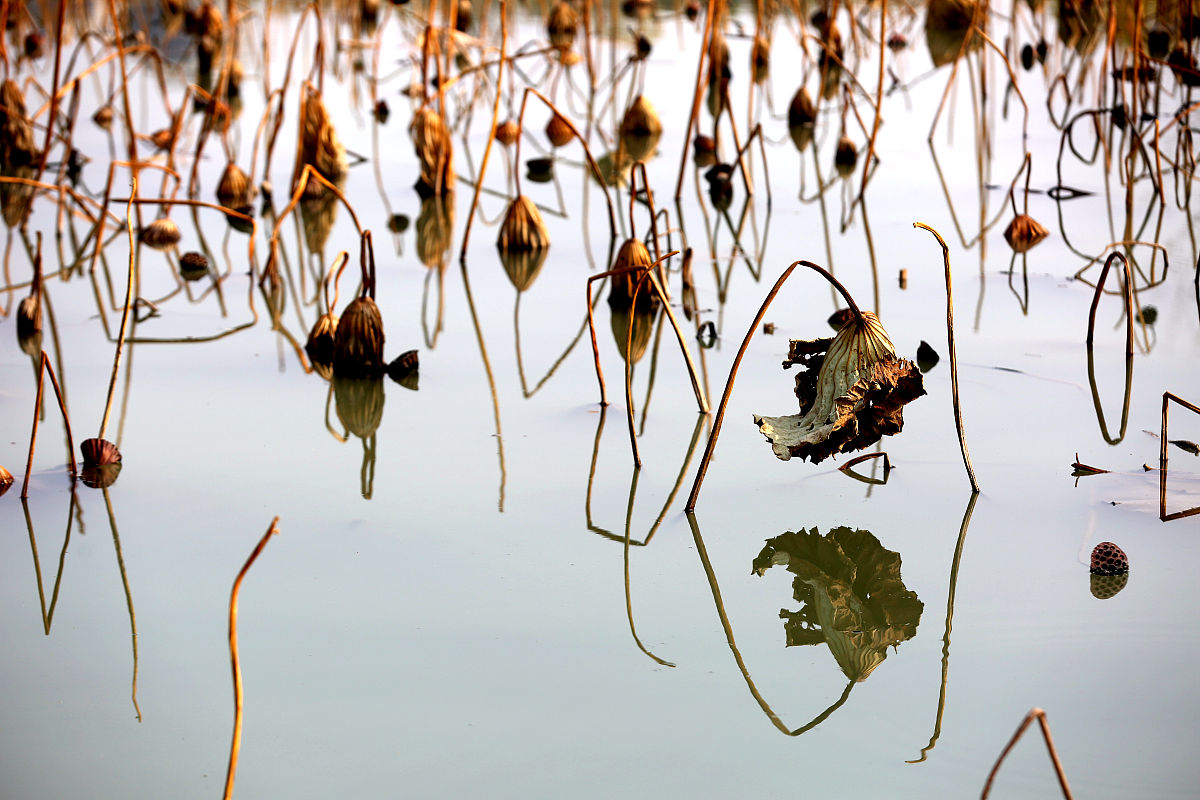 宿迁工业园区和宿迁化工园区的距离