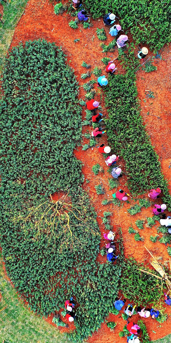 江西长江理工专修学院2021年招生专业 - 多元选择，助力未来发展