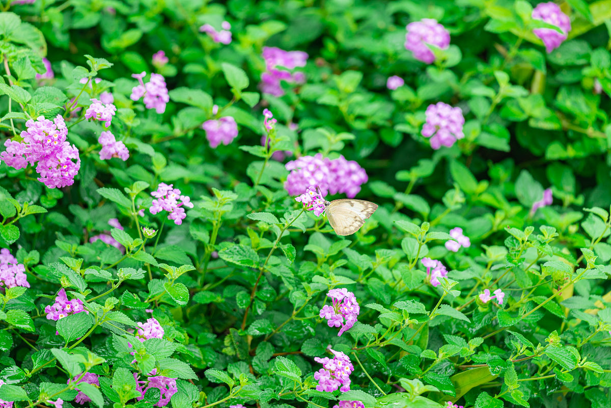 广州市番禺区职业技术学校2022年要什么招生条件怎么样