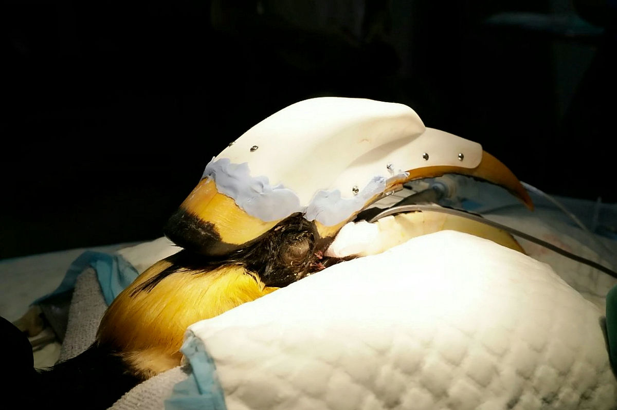 美莱祛黑头价格：影响因素和建议