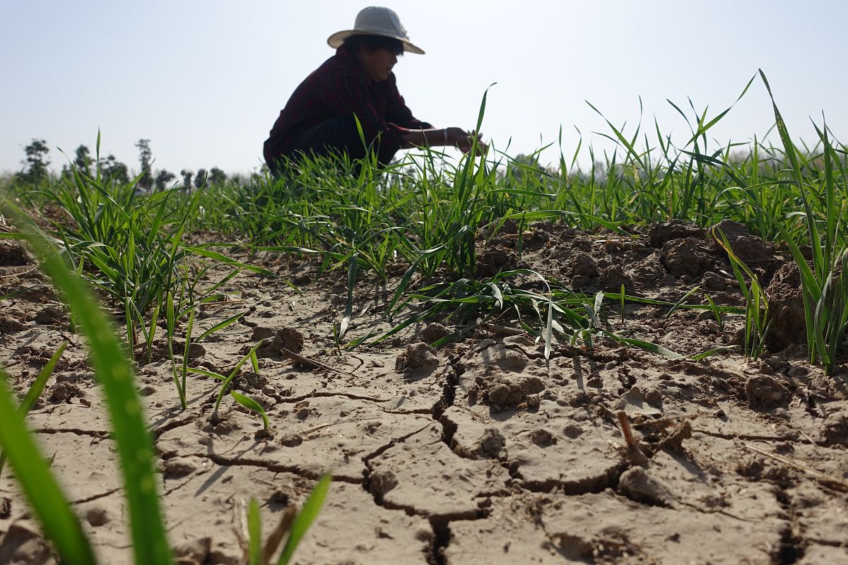 久旱缺雨时下雨对庄稼生长有好处，