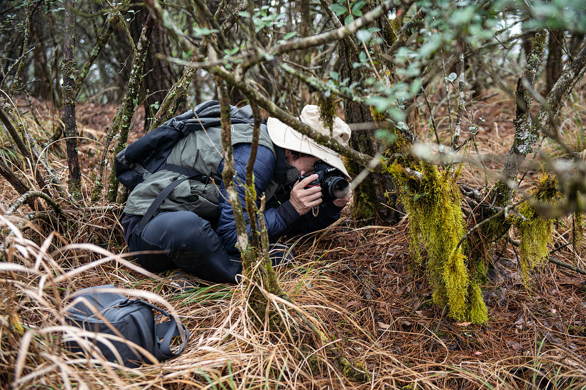 出野外的实习内容