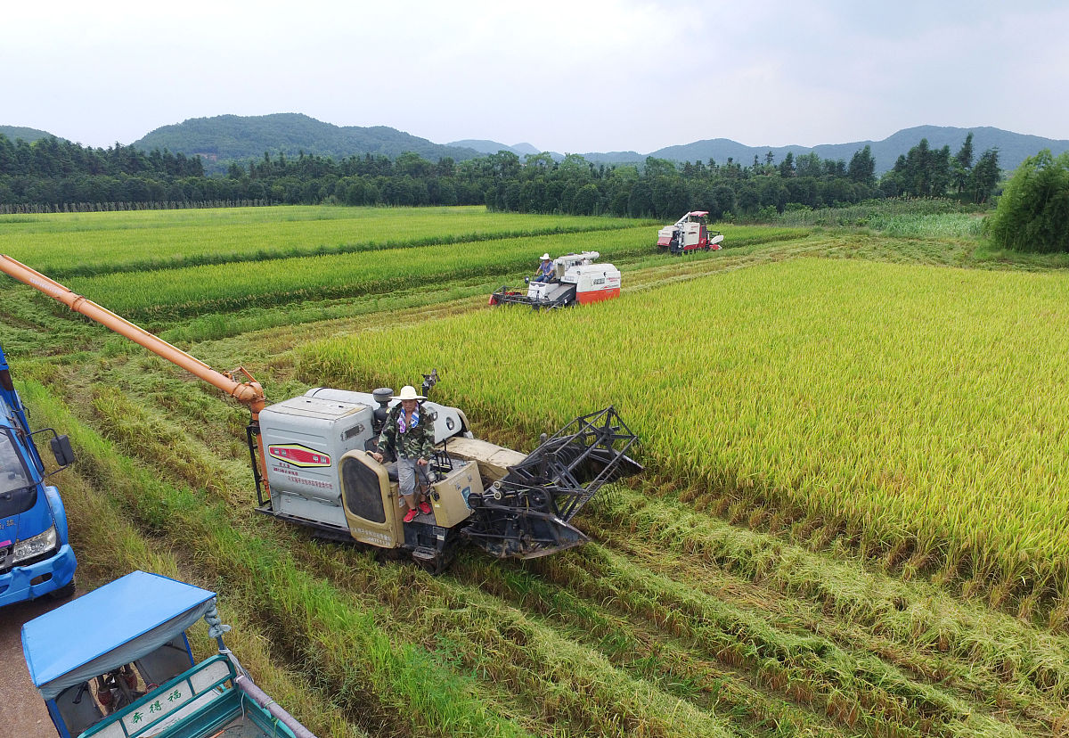 贵州农业机械化专业学校有哪些？-2023贵州高校专业解读