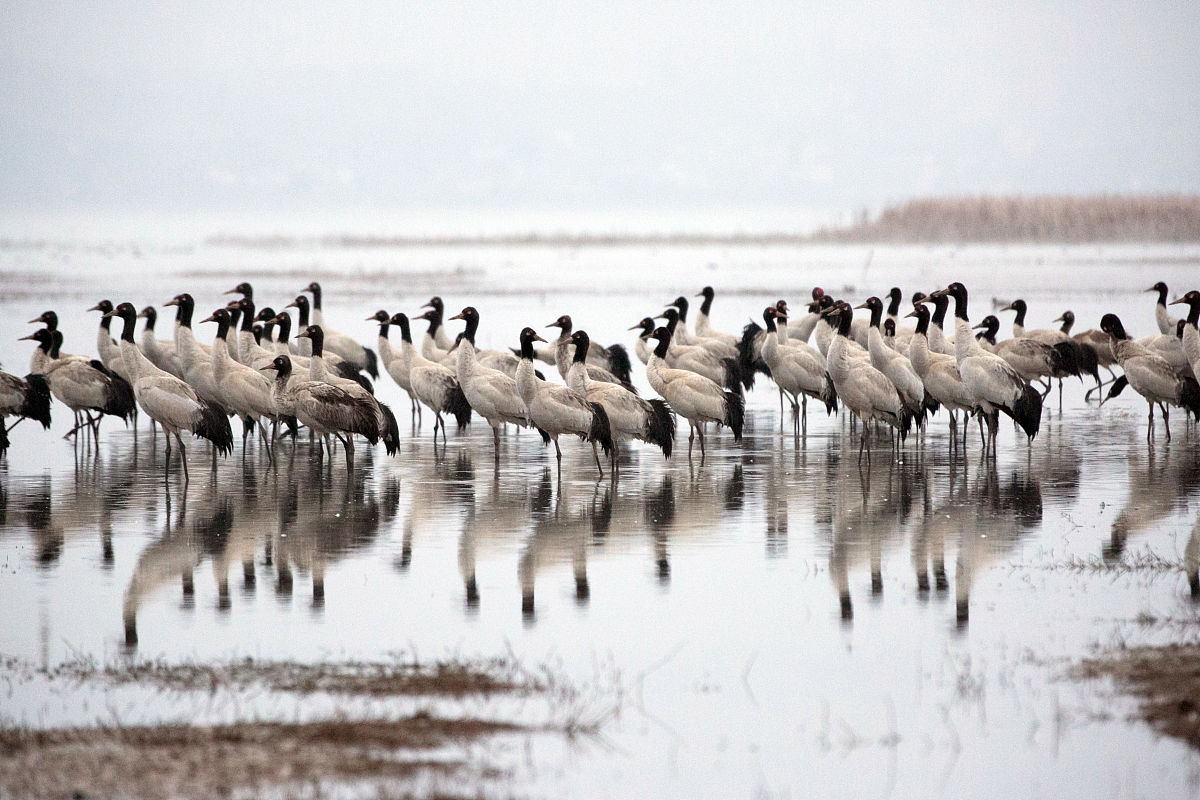 2019 贵州省林业学校招生专业及相关信息