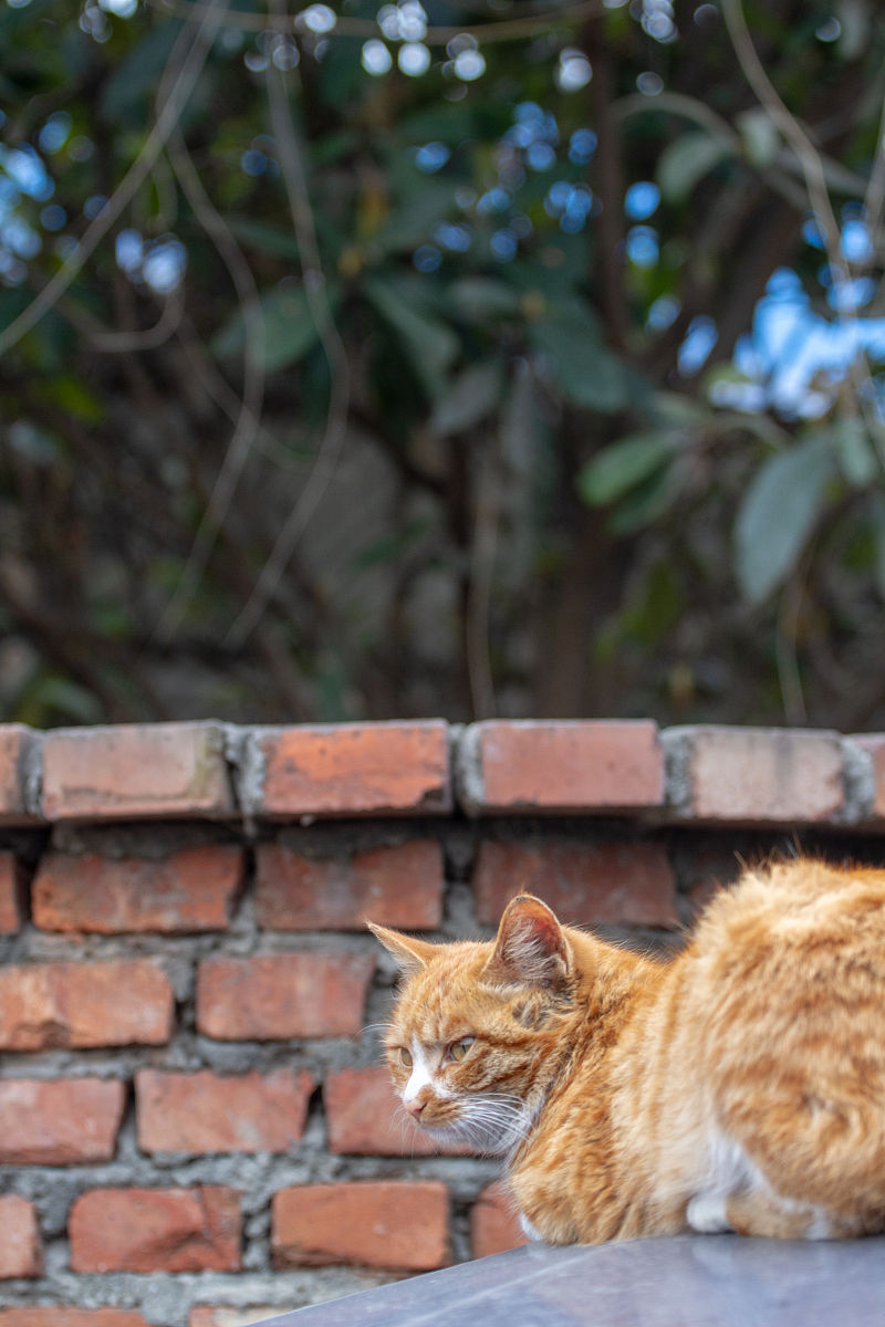 我要创作一个新的搞笑段子出来 需要详细的对话剧本 太该300字左右