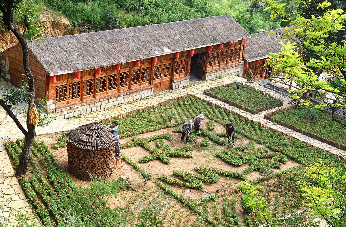 国内已经落实的农村名宿案例