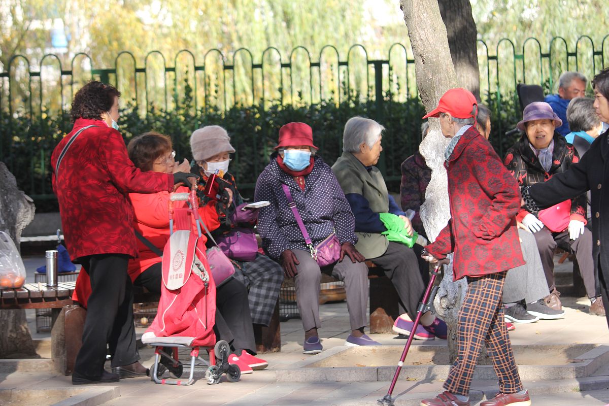 朝阳群众：北京市朝阳区居民群体介绍 - 生活方式、社会贡献与发展