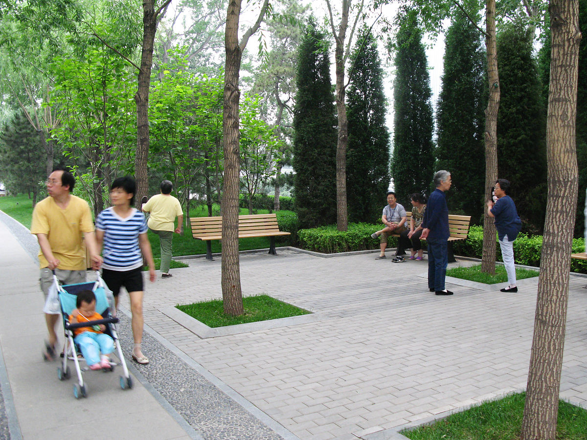 适老化改造街道空间策略：提升老年人出行安全和生活便利
