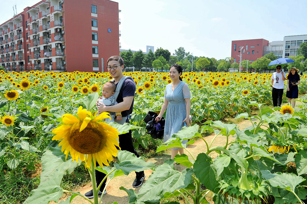 江西外语外贸职业学院应用英语专业就业方向有哪些