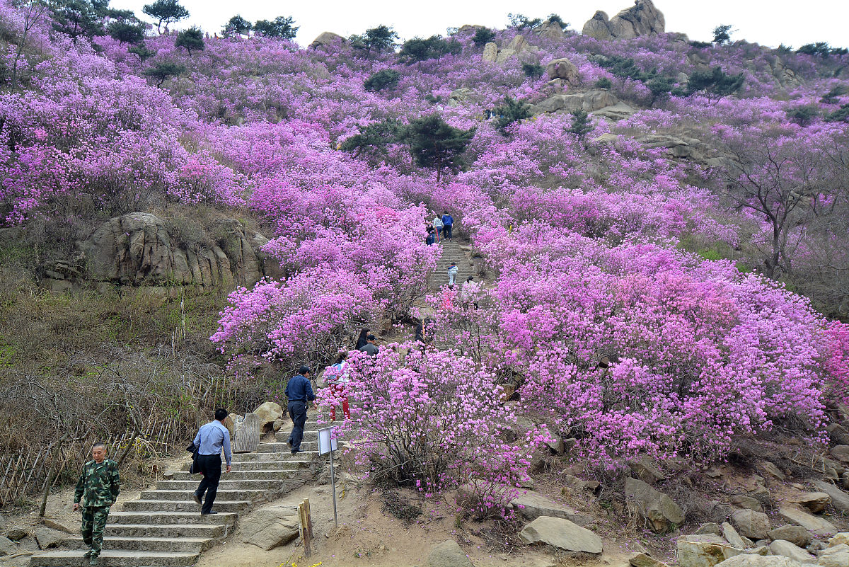 青岛胶南珠山职业学校2023年3+2招生简章