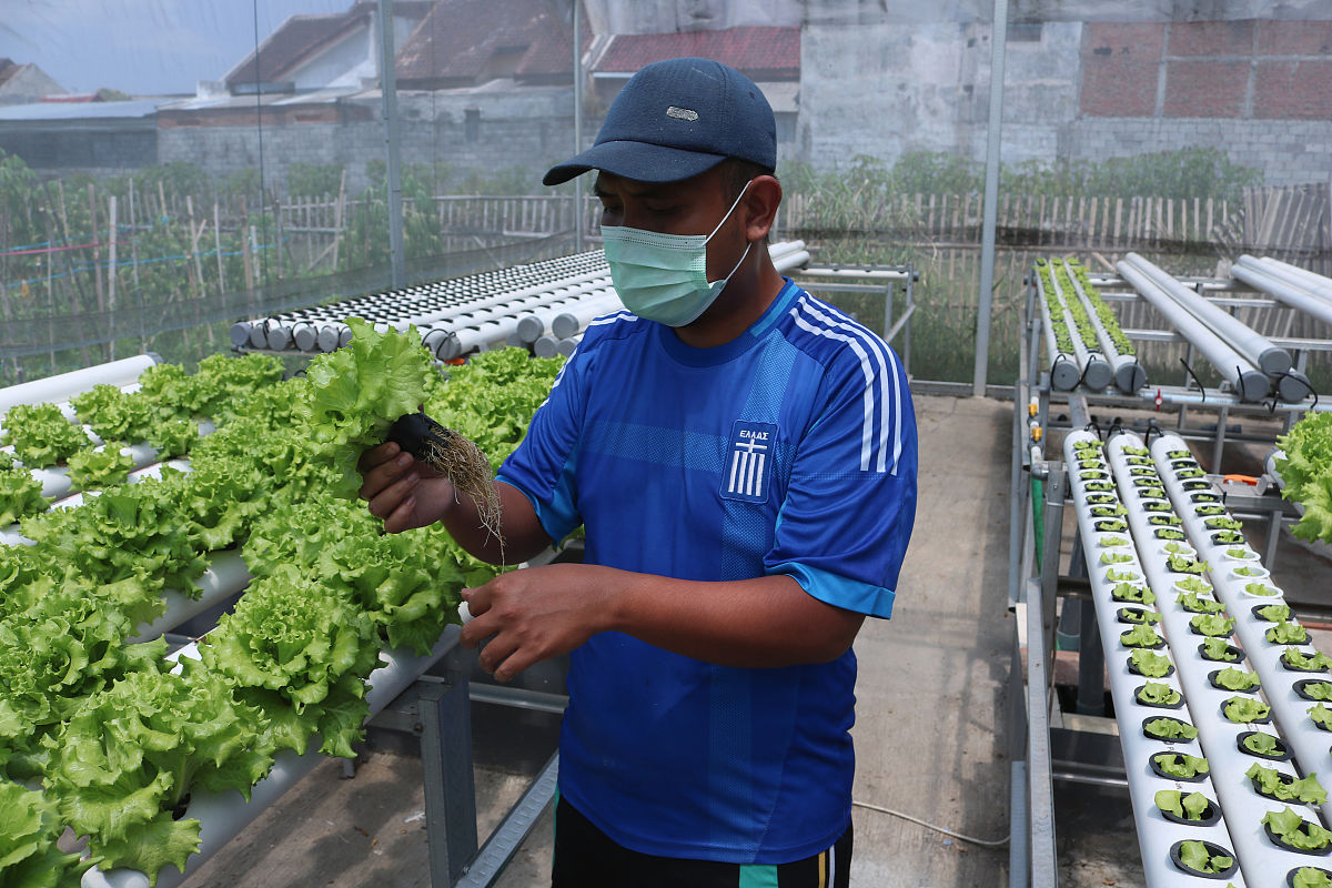 植物生长与胞间浓度、气孔导度、蒸腾速率、净光合速率和水分利用率的关系