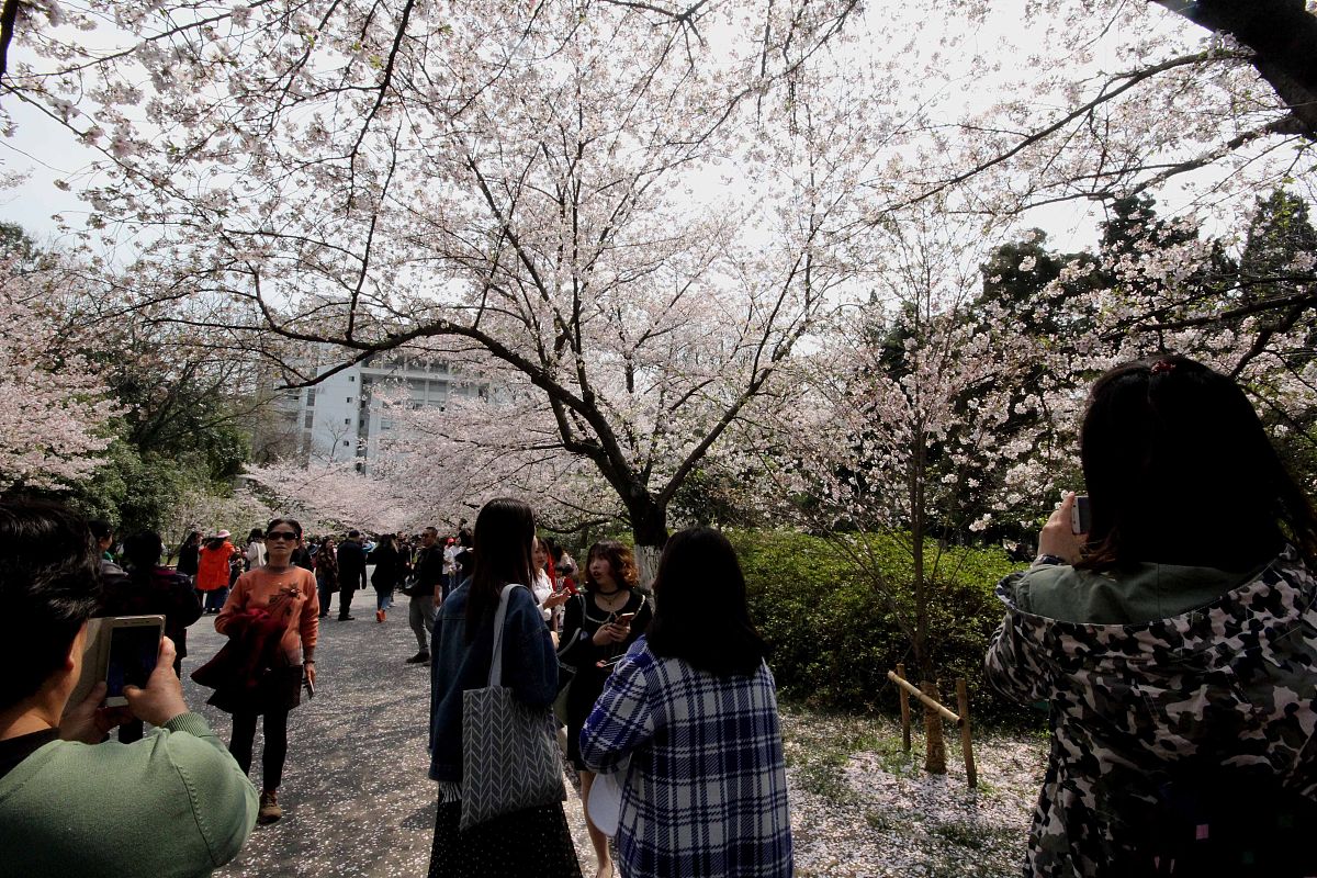 蒋建清：双一流高校领航者，推动高等教育高质量发展