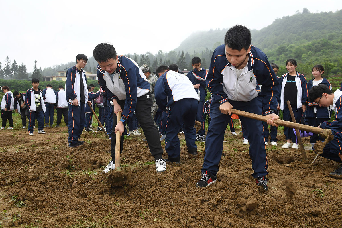 贵阳初中毕业不想上中专怎么办？2023升学路径全解析