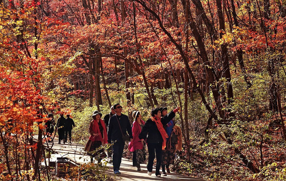 2020年本溪市机电工程学校招生简章 - 培养优秀的机电工程师