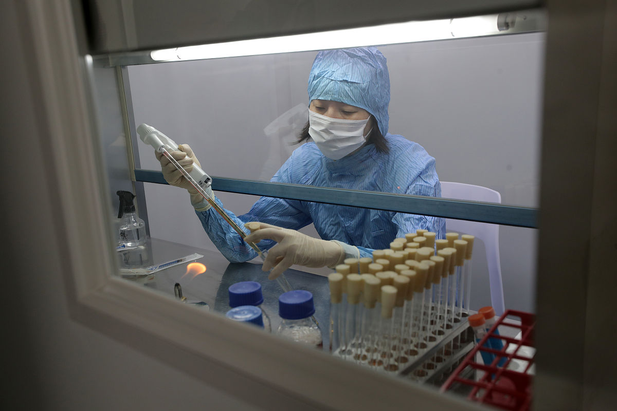 浙江肿瘤药物研发动物模型服务公司推荐 |  定制化服务，助您高效研发