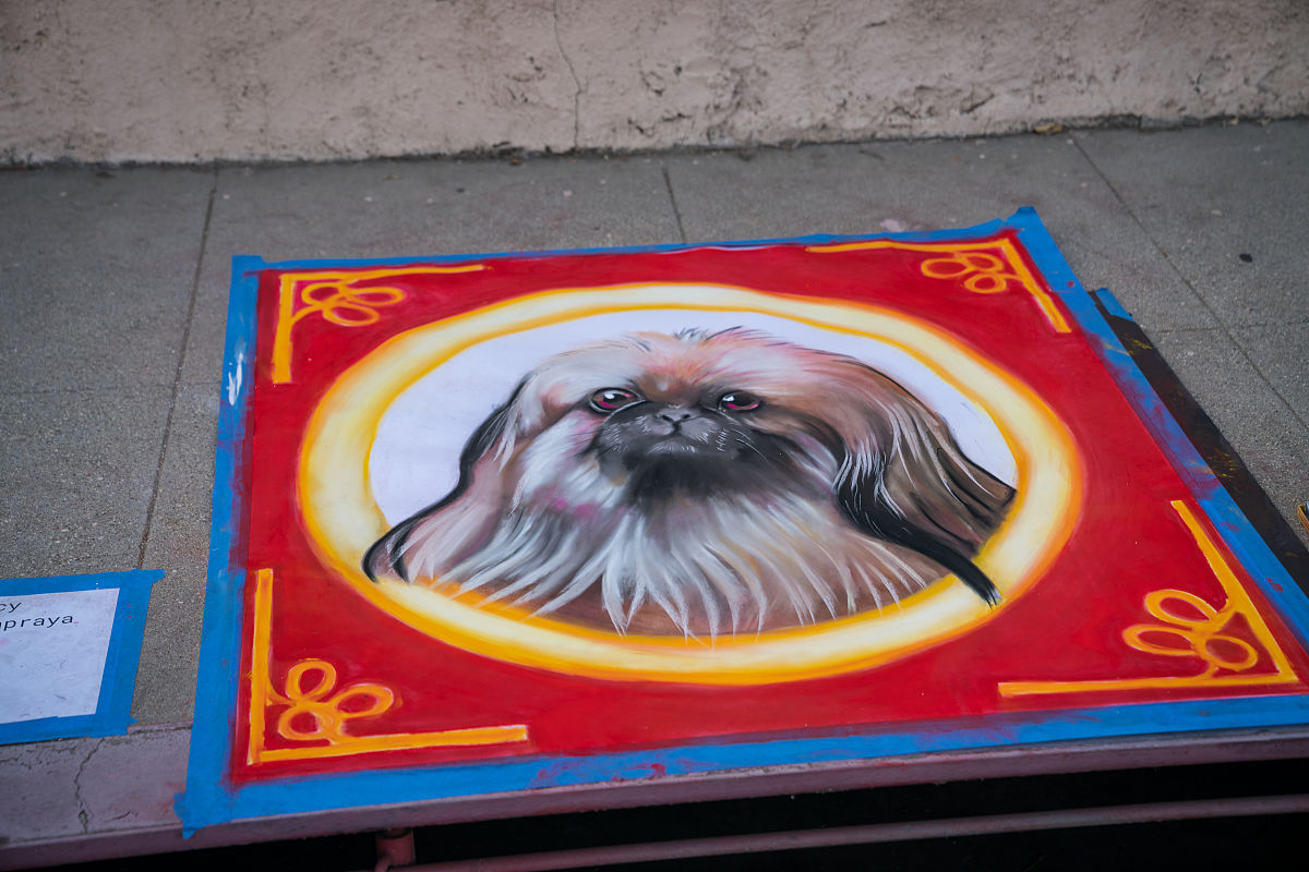 郴州文艺职业中等专业学校2023年招生简章_招生信息